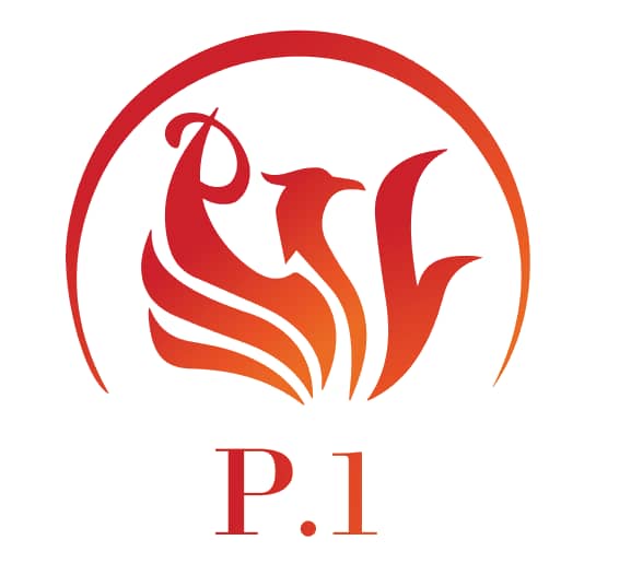 logo of P1 Motor